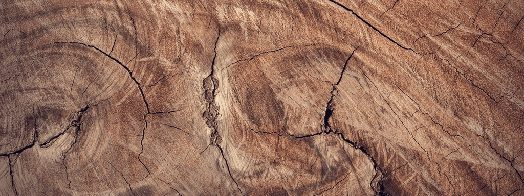 Holz und seine Wirkung: Wie natürliche Materialien unser Wohlbefinden fördern