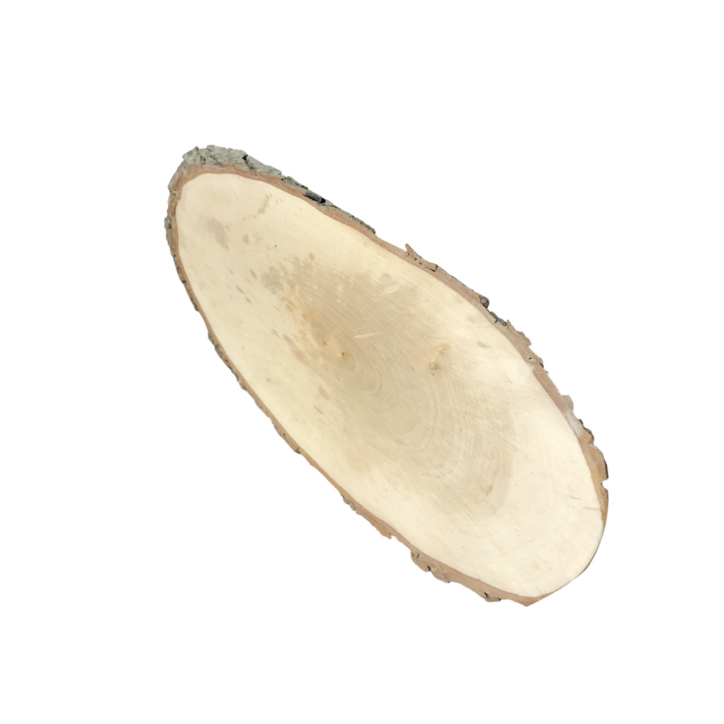 Rindenscheibe oval aus Erle mittel