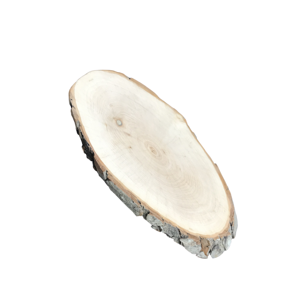 Rindenscheibe Erle 15 cm - 20 cm